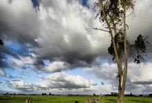 U22国足1-0绝杀韩国！央视网体育.
