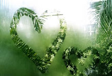 海星体育:1994年3月以来,西班牙在梅斯塔利亚球场参加10场比赛从未输球.